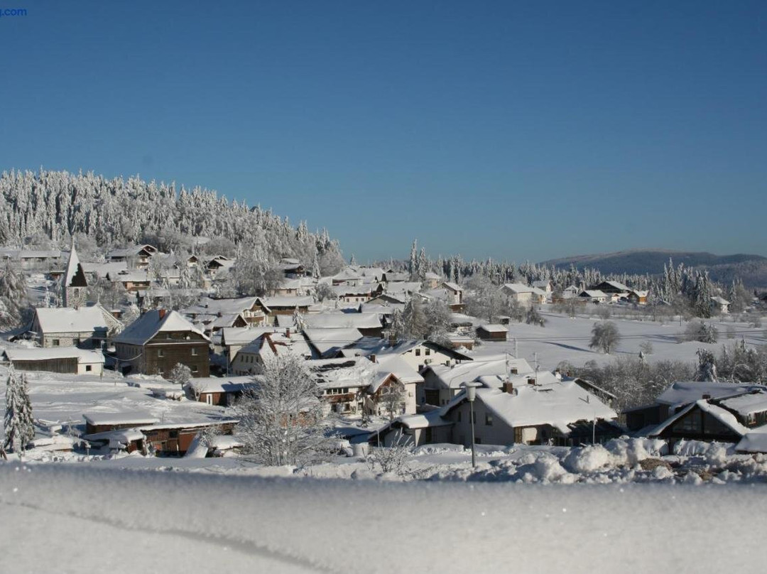 Pension Philippsreut "Zum Pfenniggeiger" am Goldsteigwanderweg