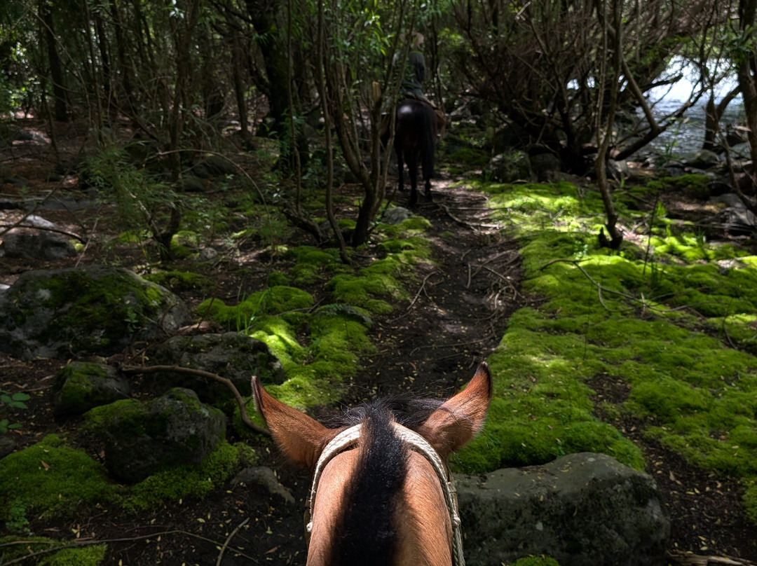 Rancho Carhuello-普孔必去景点