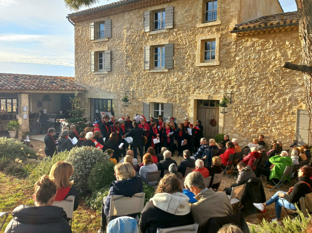 Domaine Du Chat Blanc