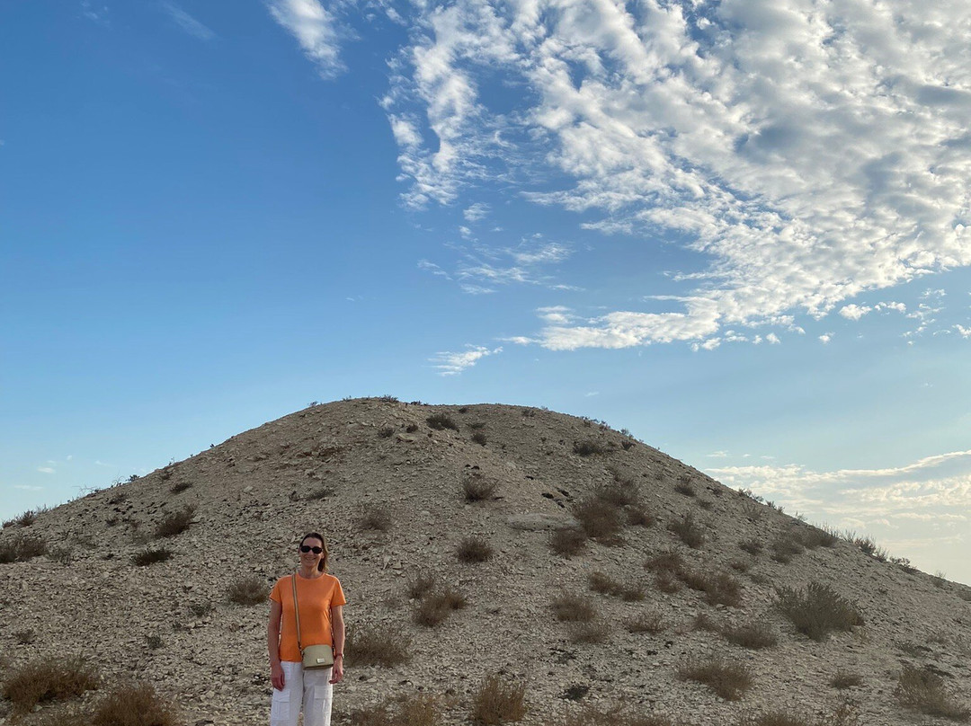 Dilmun Burial Mounds-麦纳麦必去景点