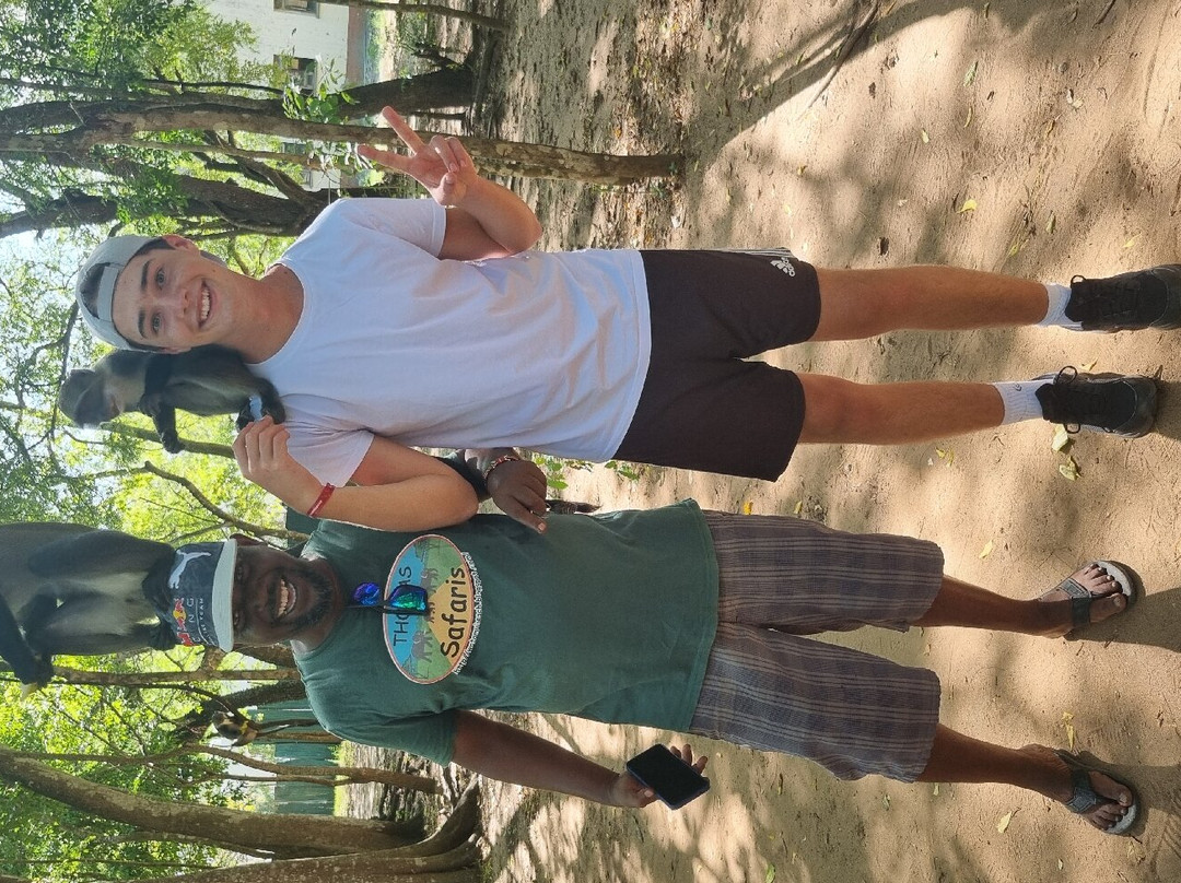 Thomas Tours & Safaris - Private Day Tours-瓦塔木必去景点