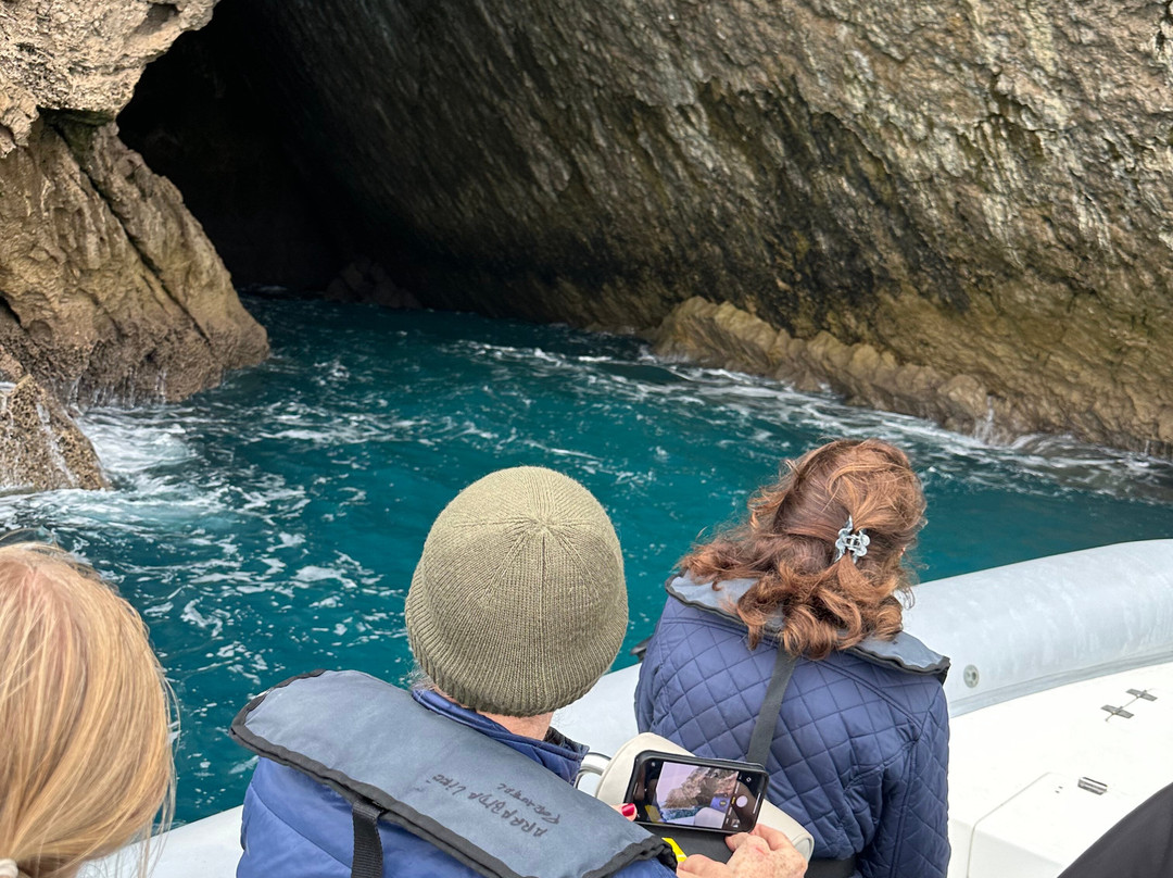 Arrábida Life-塞新布拉必去景点