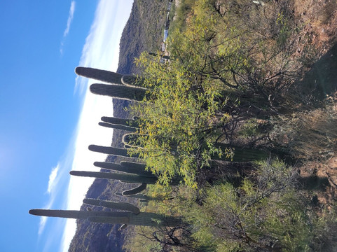 Boomerang Riding Adventures-Vail必去景点