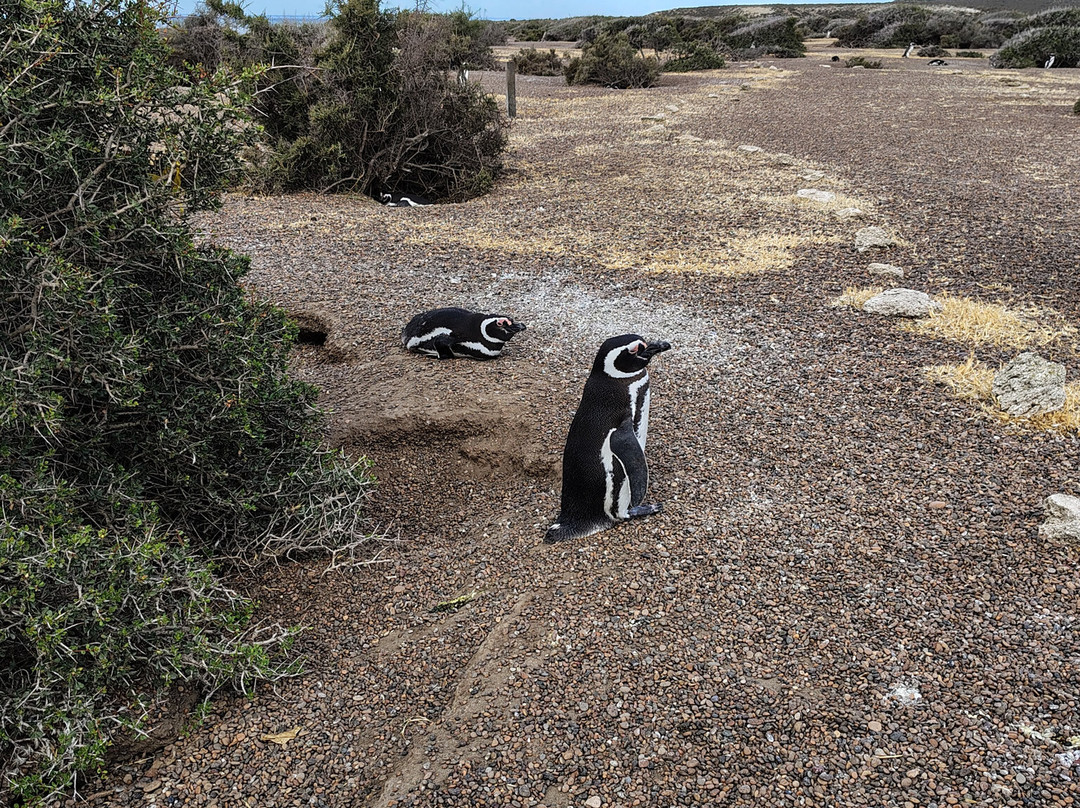 Reserva Natural Estancia San Lorenzo-马德林港必去景点