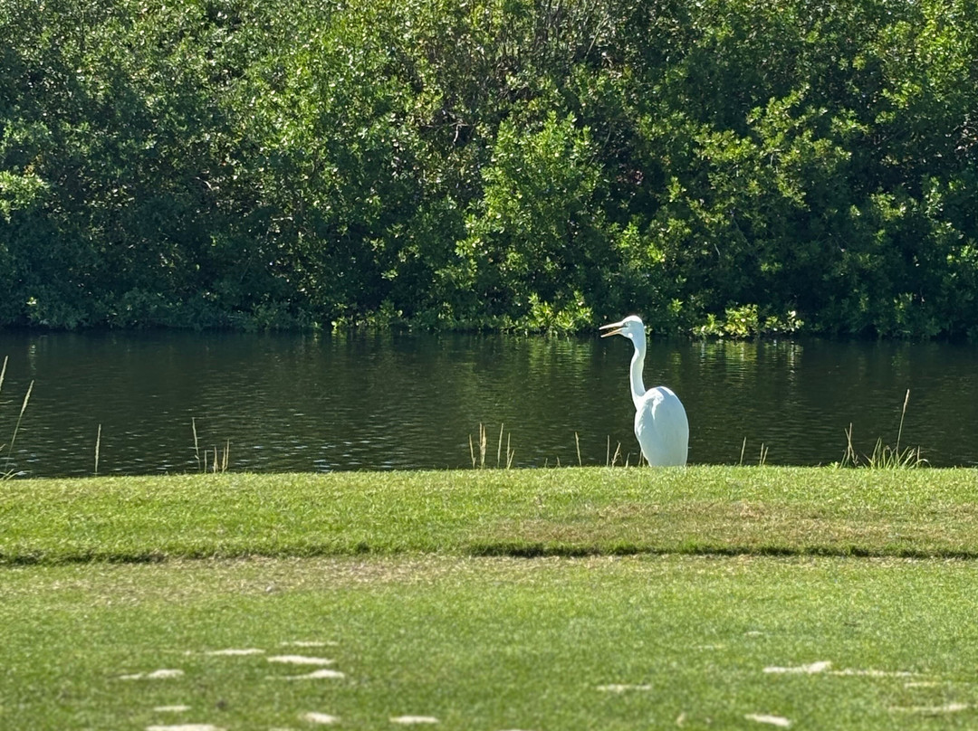 Playa Mujeres Golf Club-Punta Sam必去景点