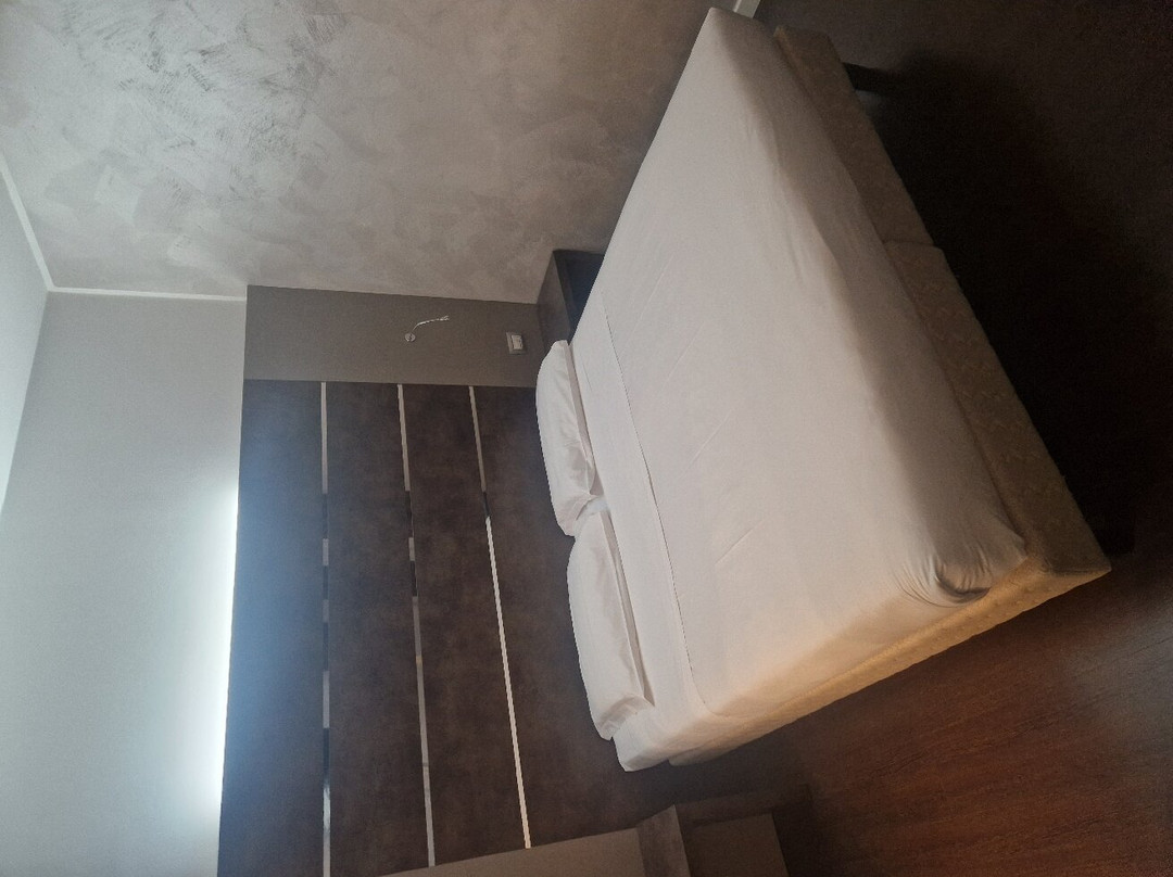 Cavallo Hotel Noventa Di Piave主图