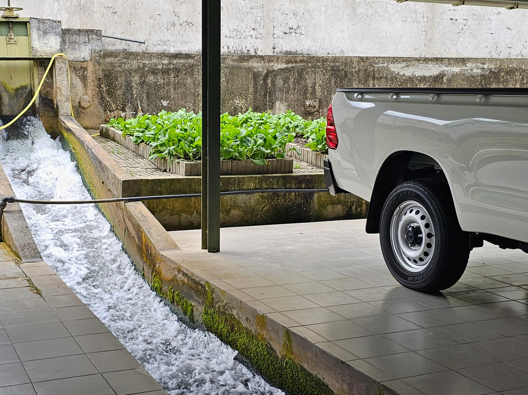 Yun Fook Trading (kolam Ikan)-根地咬必去景点