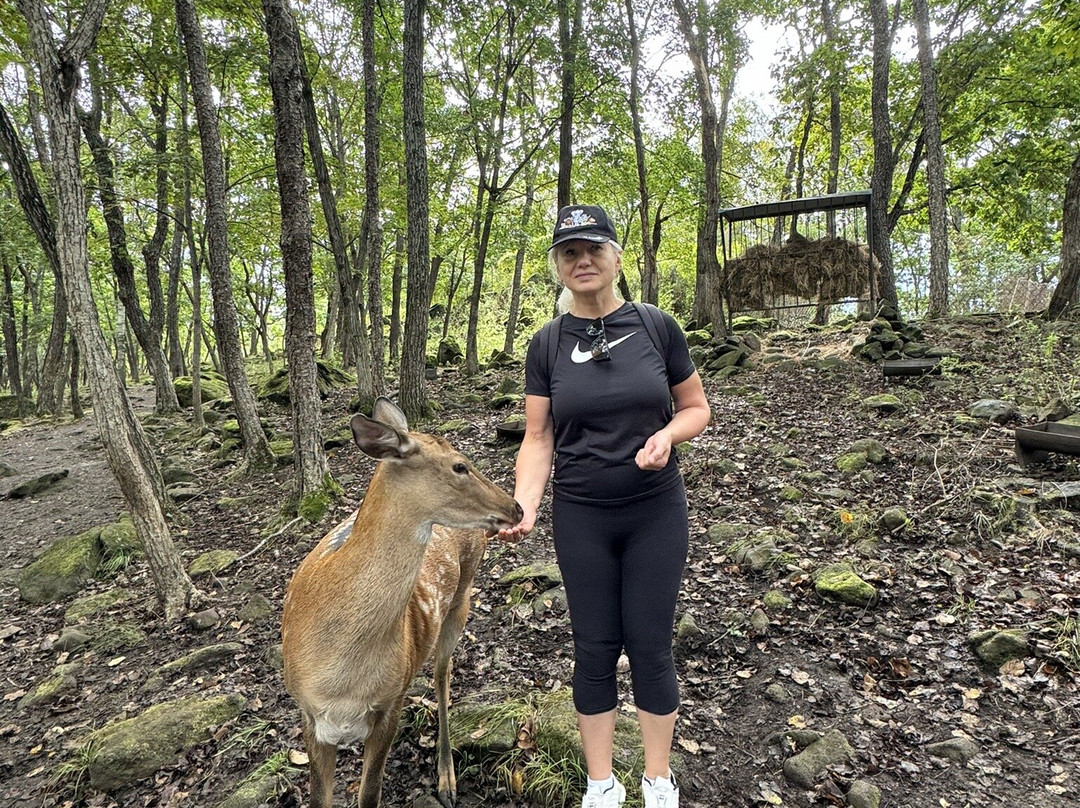 Primorskiy Safari Park-Shkotovo必去景点