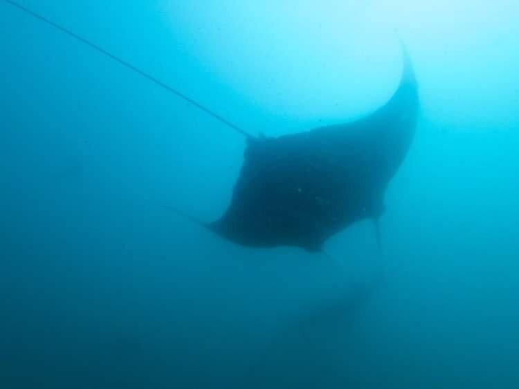 K'gari Salty Safaris-赫维湾必去景点