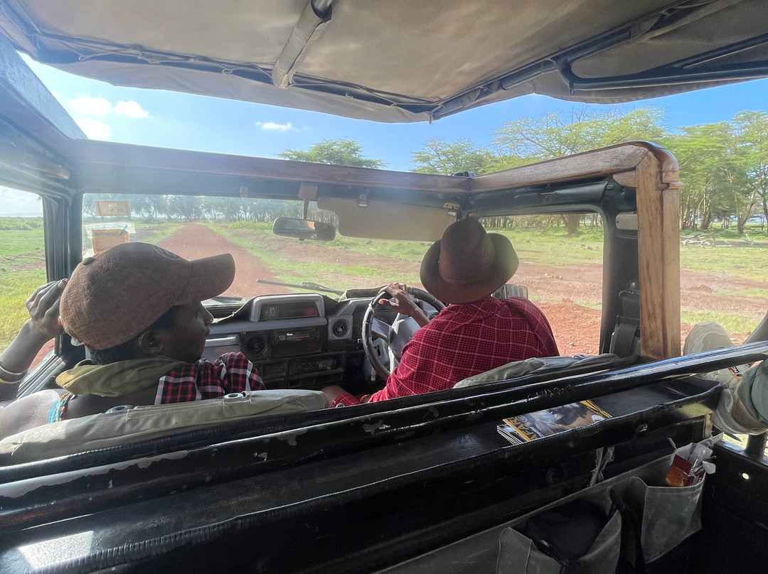 Maasai Safari & Cultural Tours景点图片