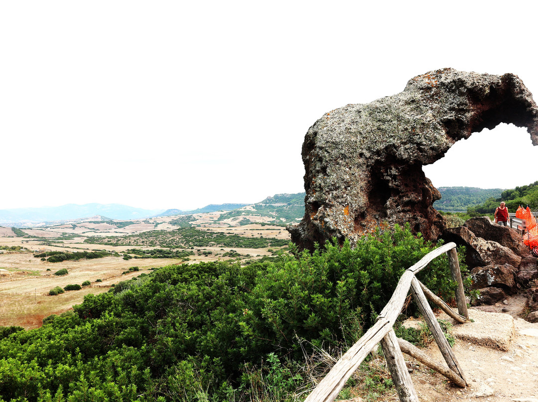 Roccia dell'Elefante-Castelsardo必去景点