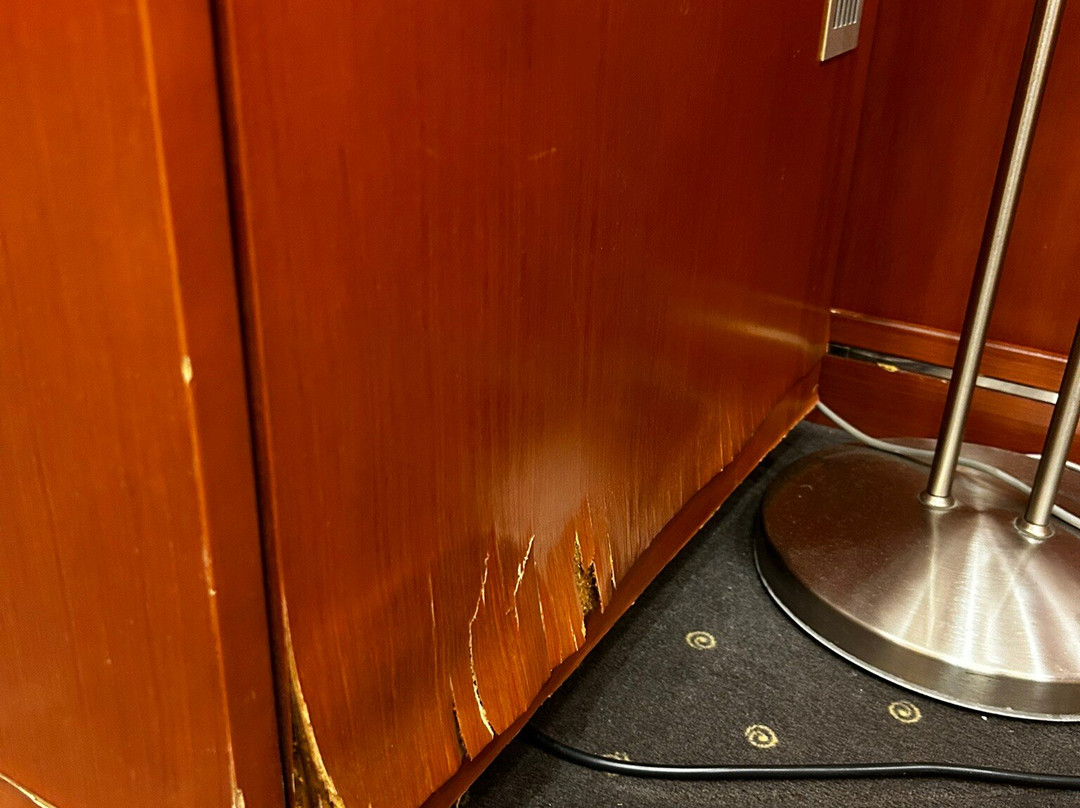 Aleksandar Novi Sad主图