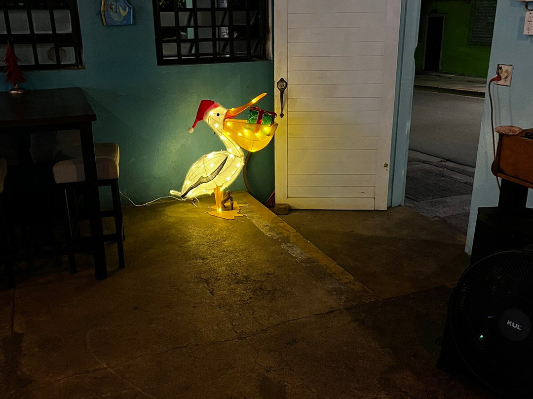 The Mar Azul Vieques-维切克岛必去景点