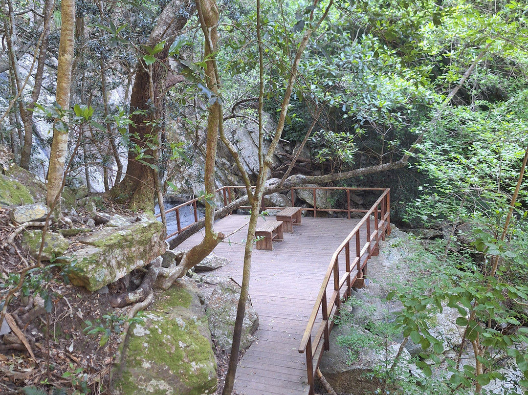 Marloth Nature Reserve-斯韦伦丹必去景点