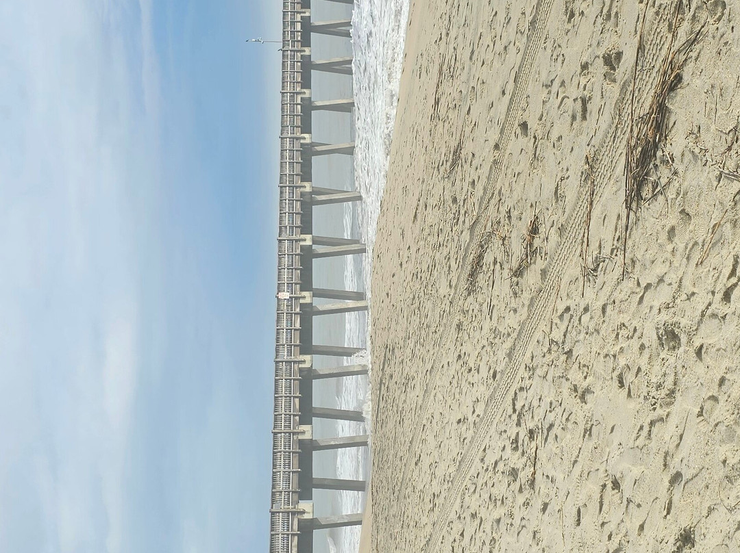 Tybee Island Beach-泰碧岛必去景点