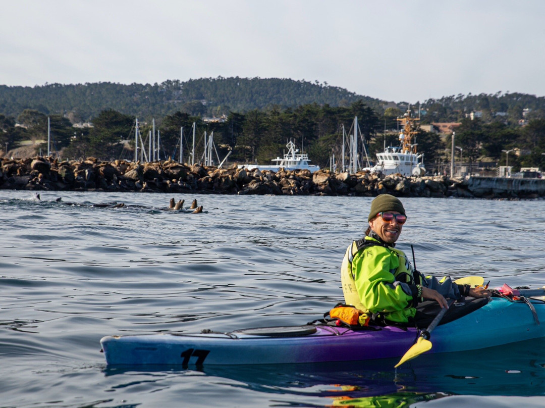 Monterey Bay Kayaks-蒙特雷必去景点