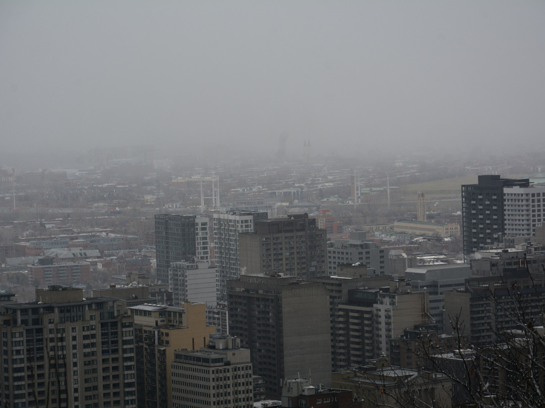 Plateau Mont-Royal-蒙特利尔必去景点