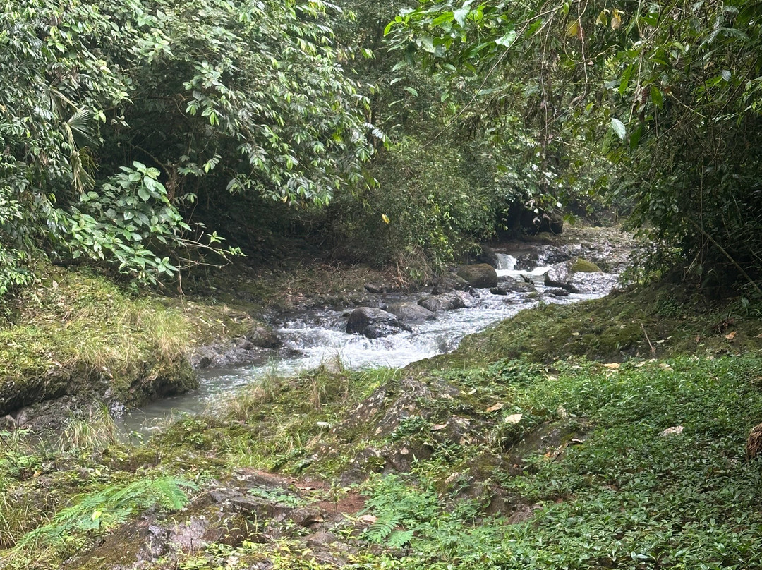 Catarata Bijagual景点图片