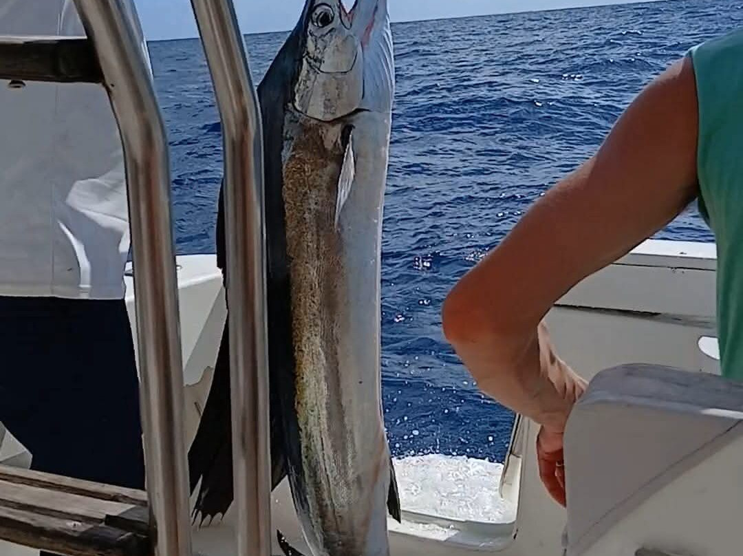 Dona Nina Fishing Tour-普拉塔港必去景点