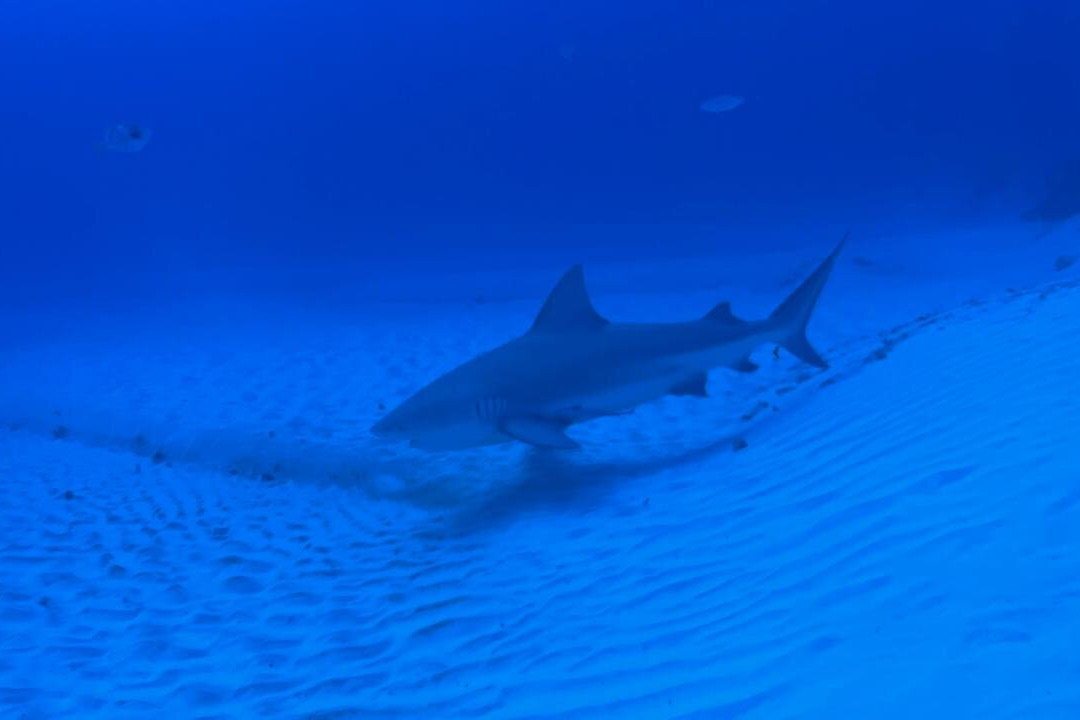 Diverz Den Tulum-图伦必去景点