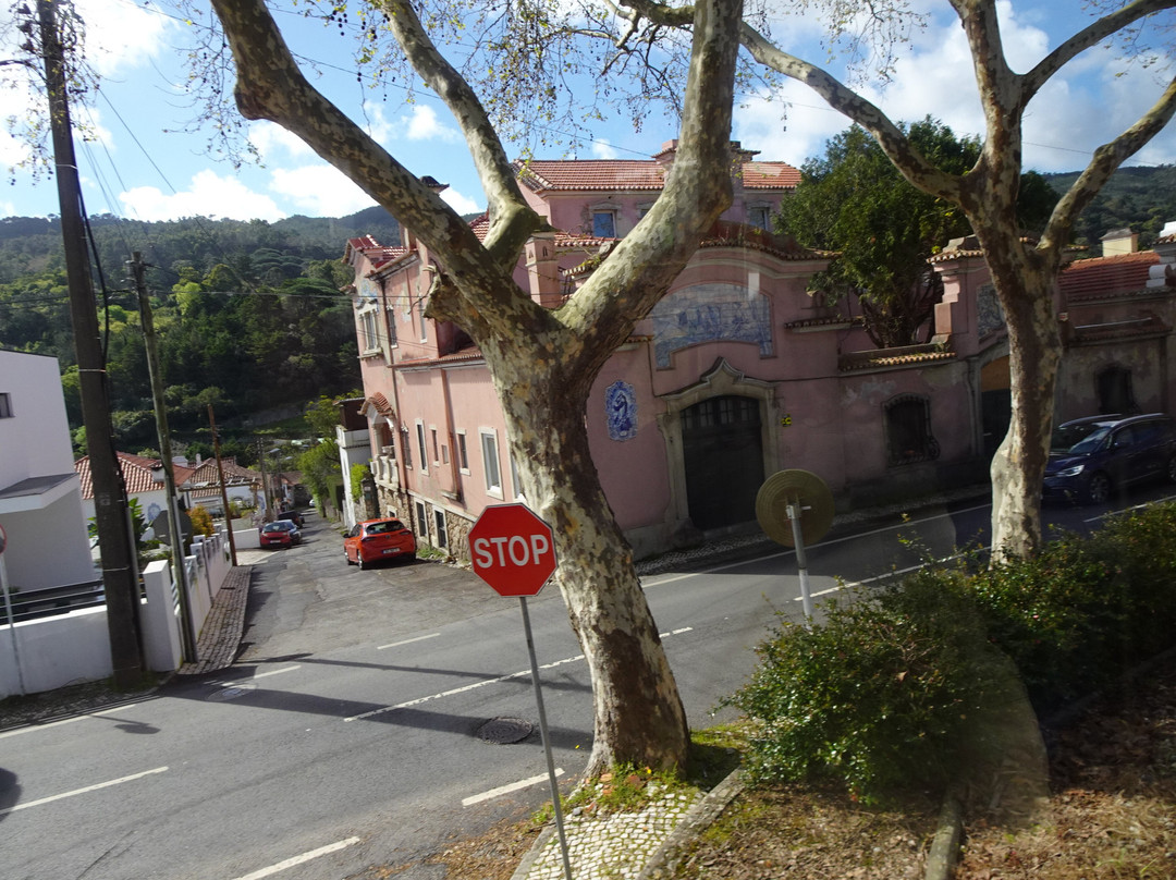 Sintra Tram景点图片