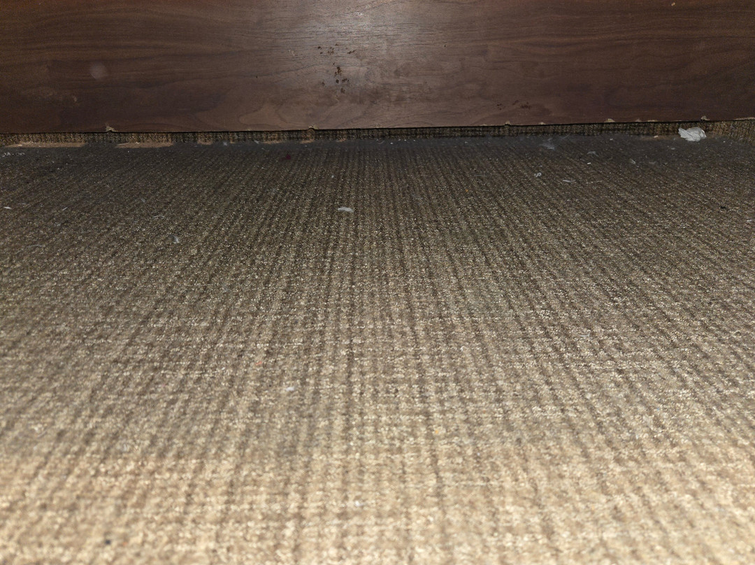 塞德林格托酒店主图