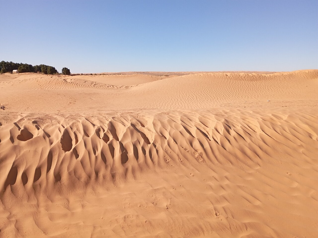Ksar Ghilane景点图片