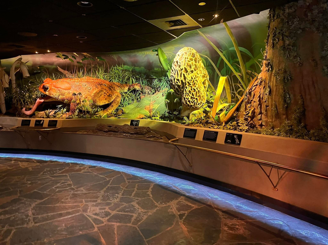 托莱多动物园-托莱多必去景点