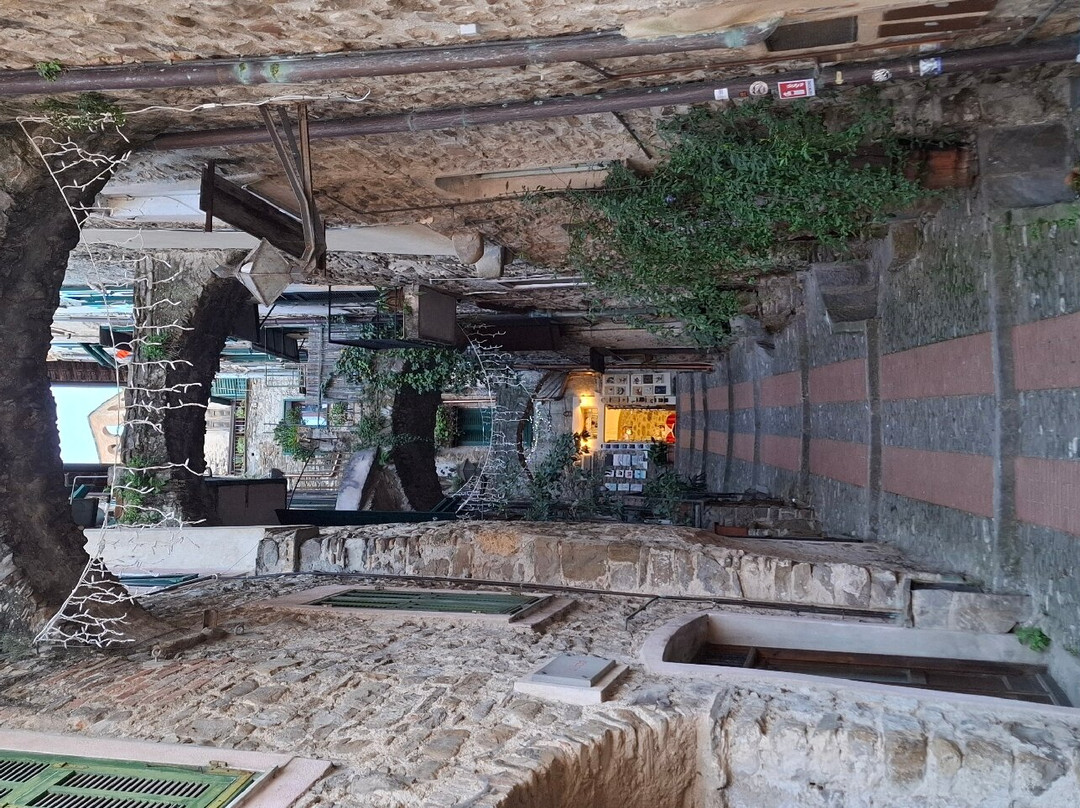Ponte Vecchio-Dolceacqua必去景点