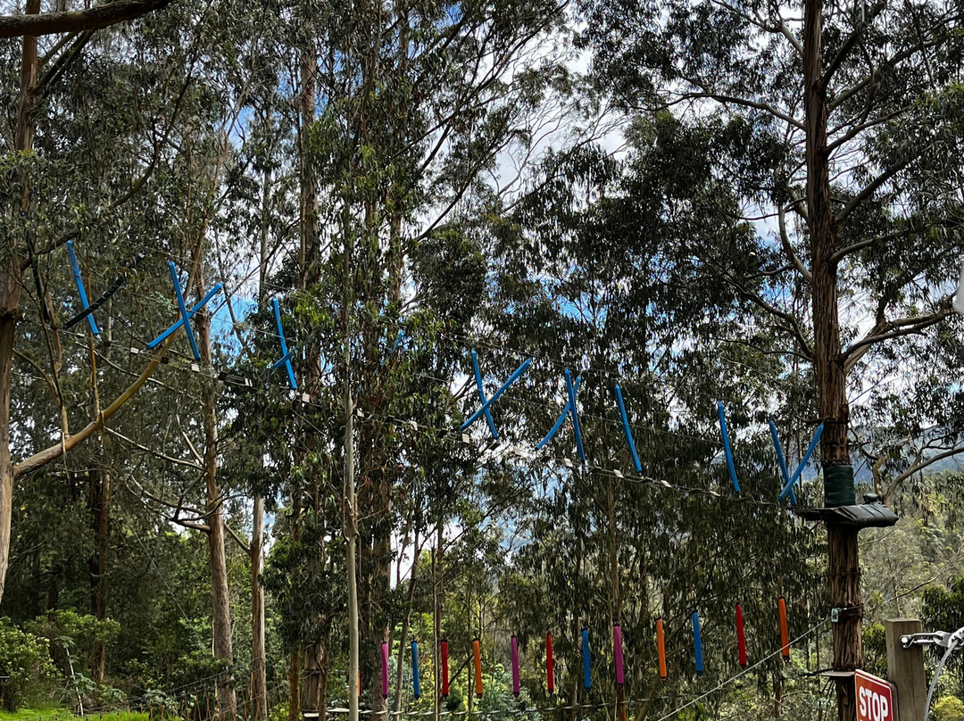 Kombai Park Montearroyo景点图片