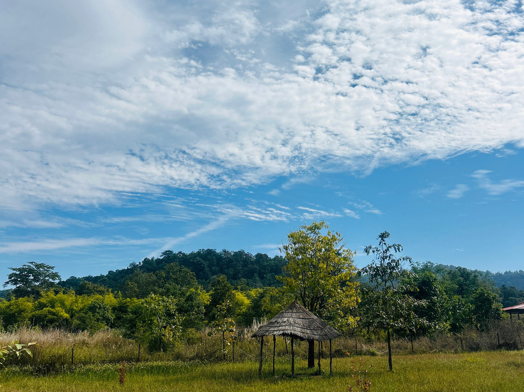 The Tiger Valley Resort主图