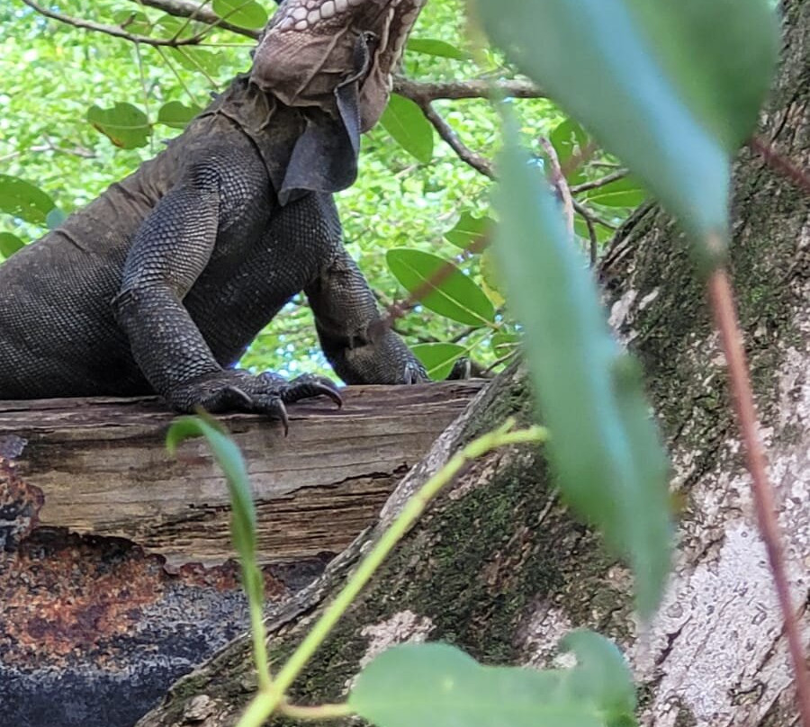 Bon Bagay-La Trinite必去景点
