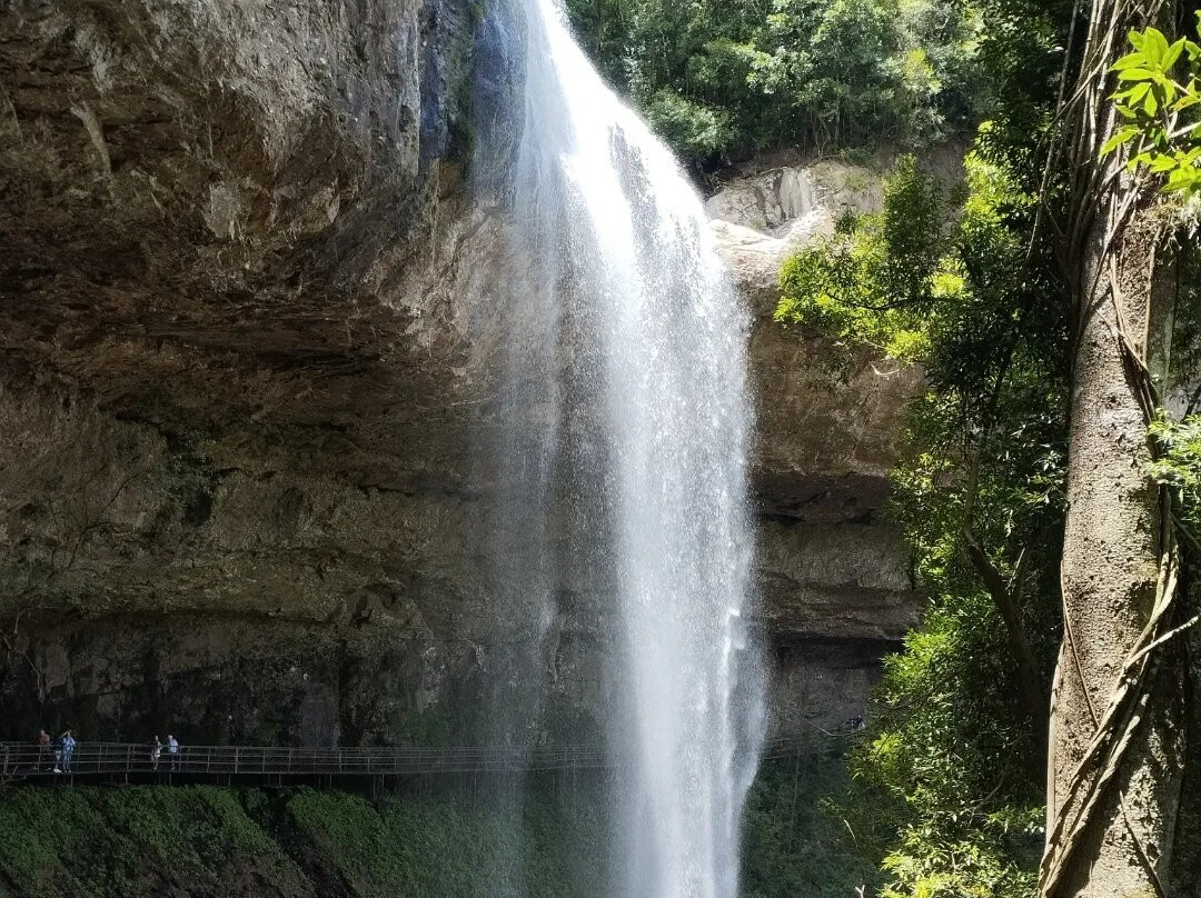 Hotel Nova Vicenza主图