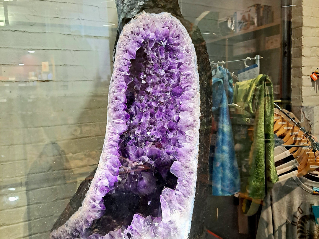 Australian Fossil and Mineral Museum景点图片