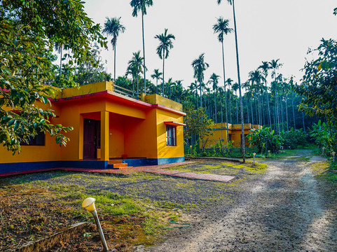 Palm Resort