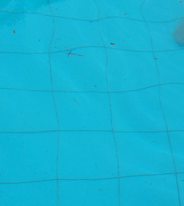 Hotel D'Anatureza主图