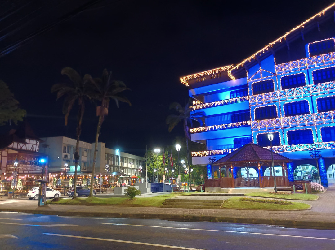 Blumenau City Hall景点图片