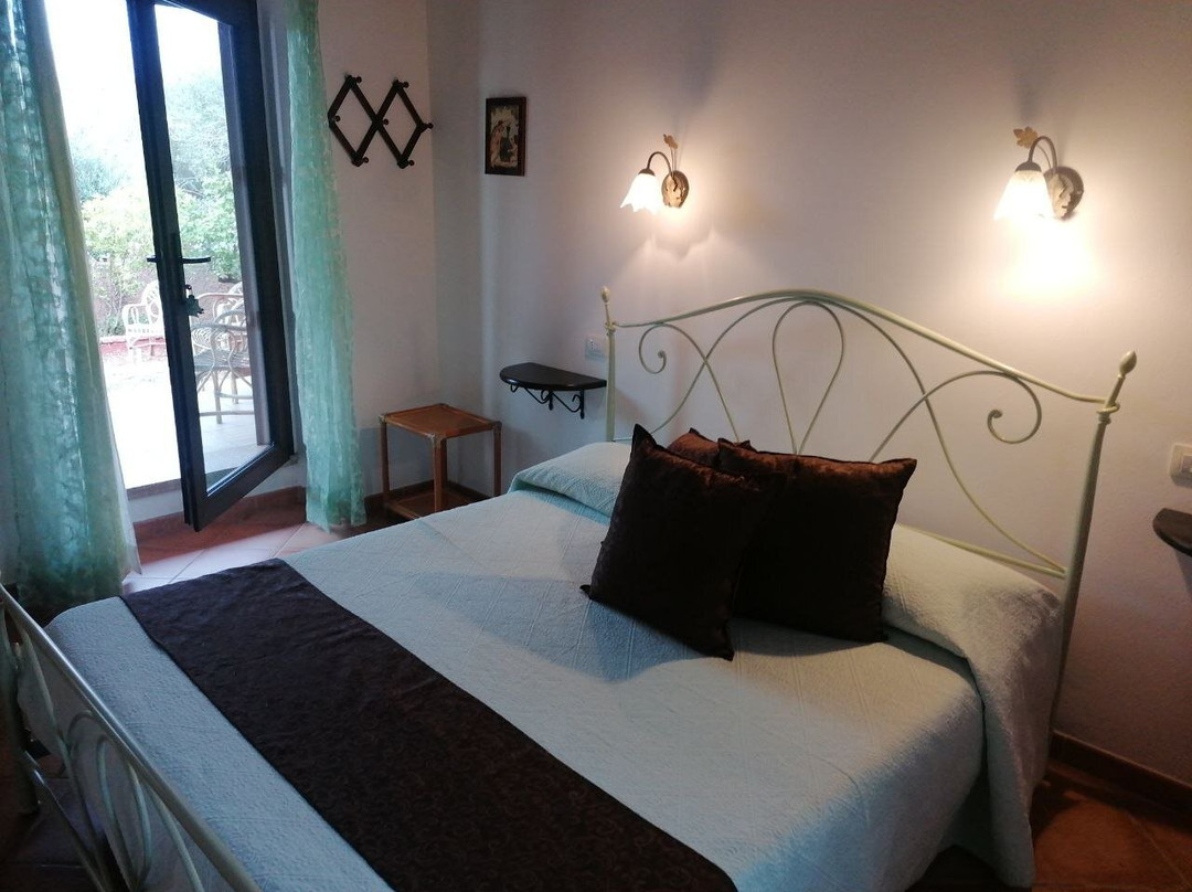 Il Vigneto Bed And Breakfast主图