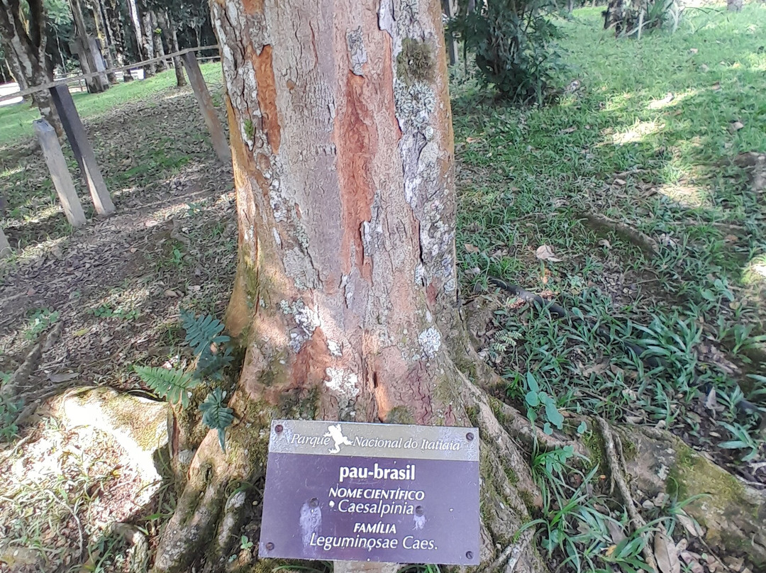 Regional Fauna and Flora Museum-Itatiaia必去景点