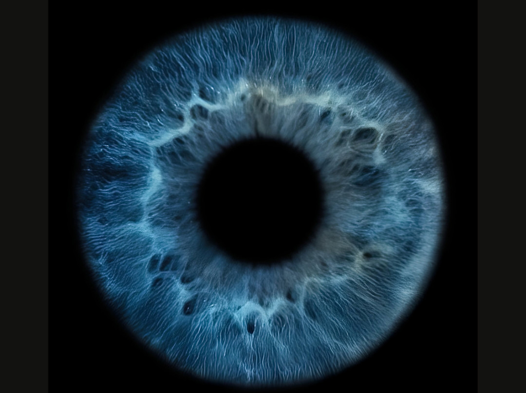 Artful Eye Creations-圣彼德斯堡必去景点