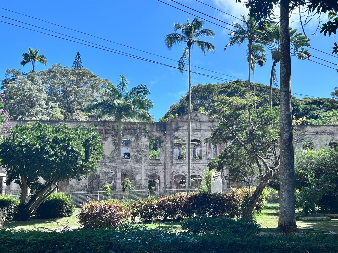 Farley Hill National Park-Saint Peter Parish必去景点