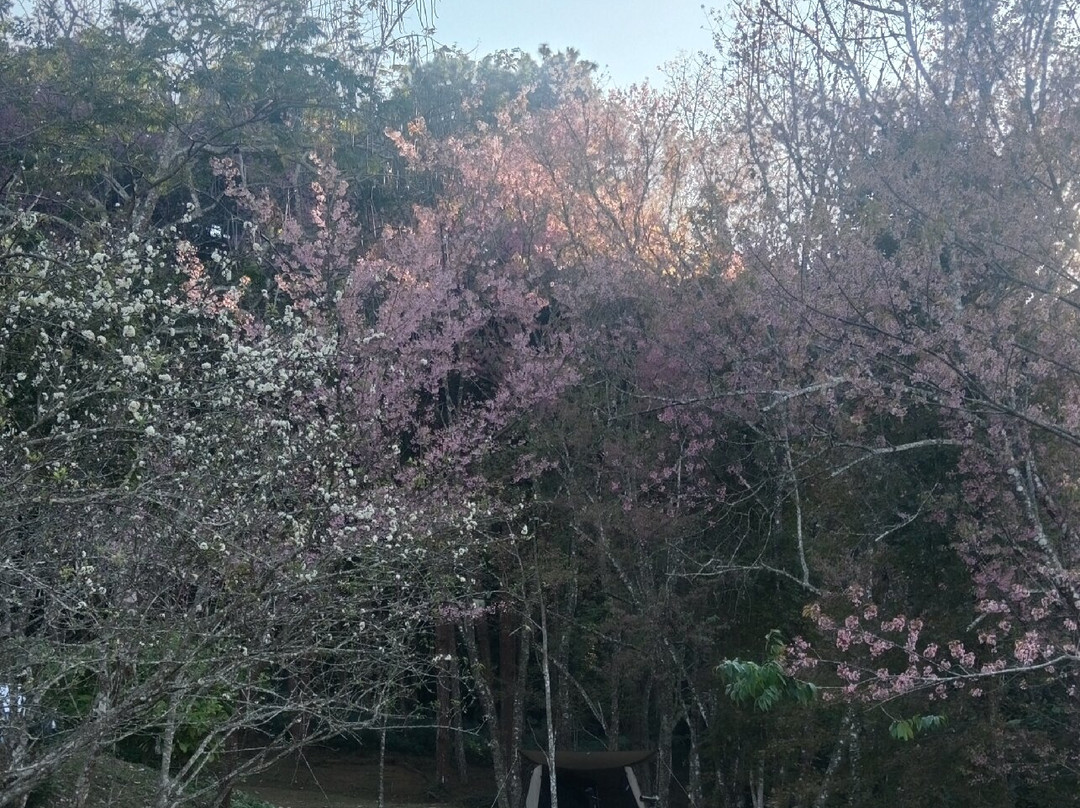 Khun Sathan National Park景点图片