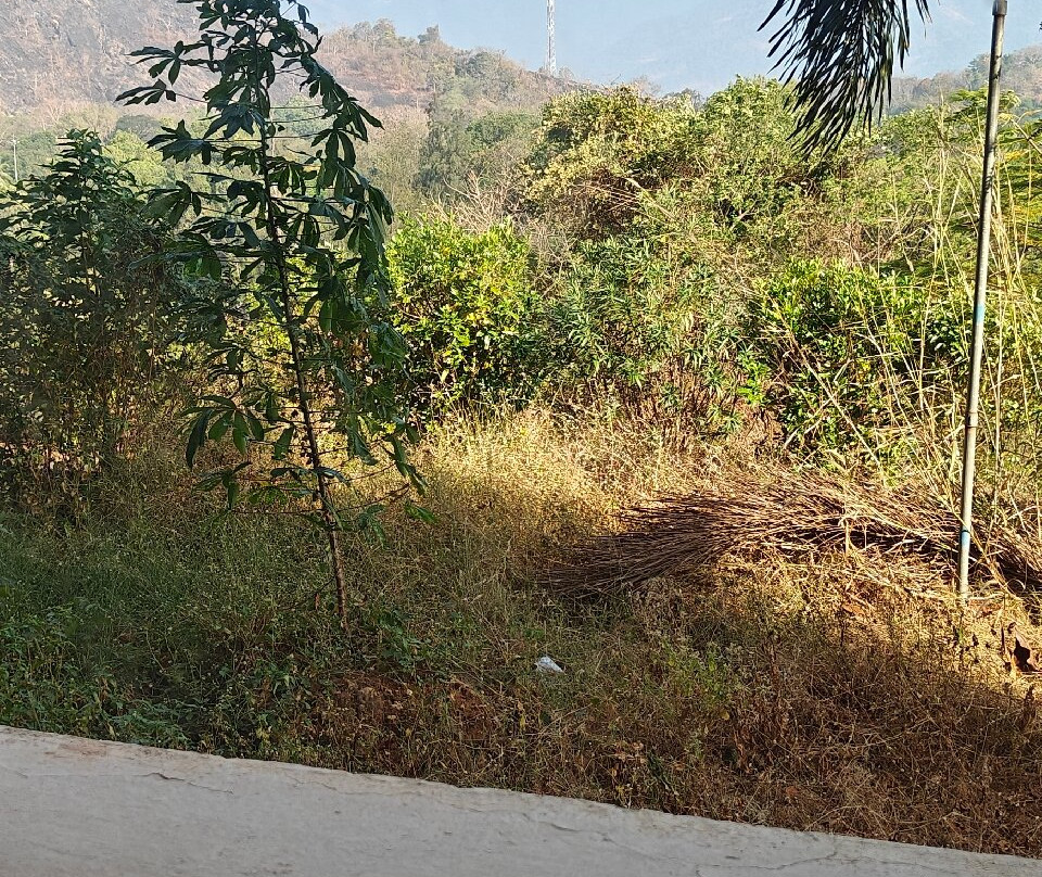 KTDC Garden House Malampuzha Dam主图