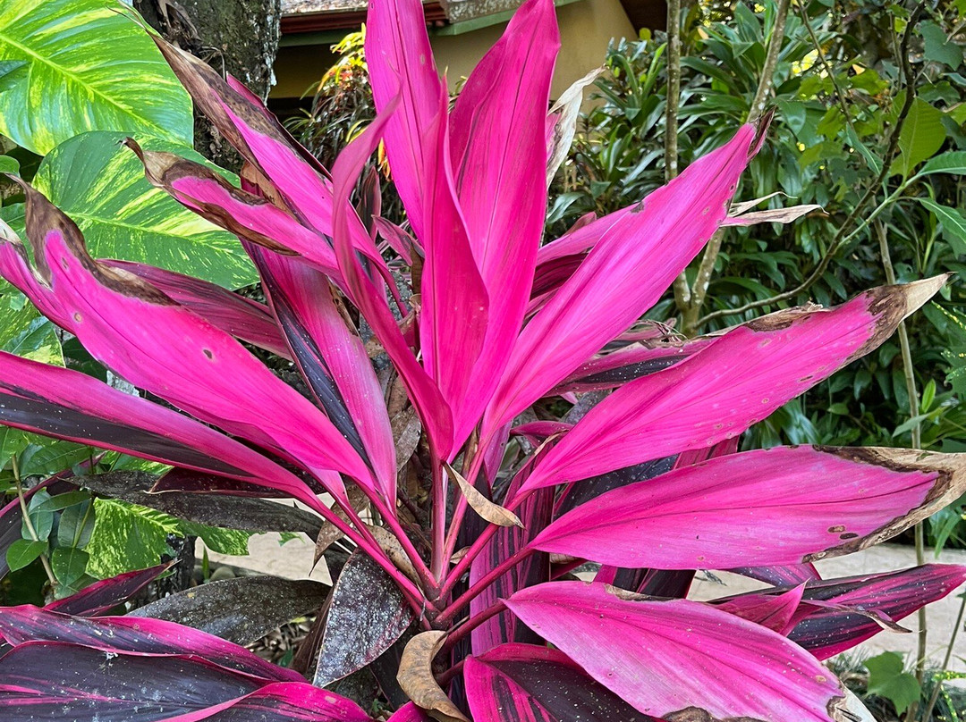 Hotel La Dolce Vita主图