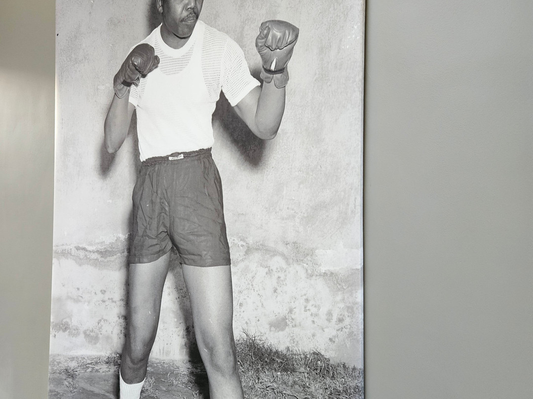 Sanctuary Mandela主图