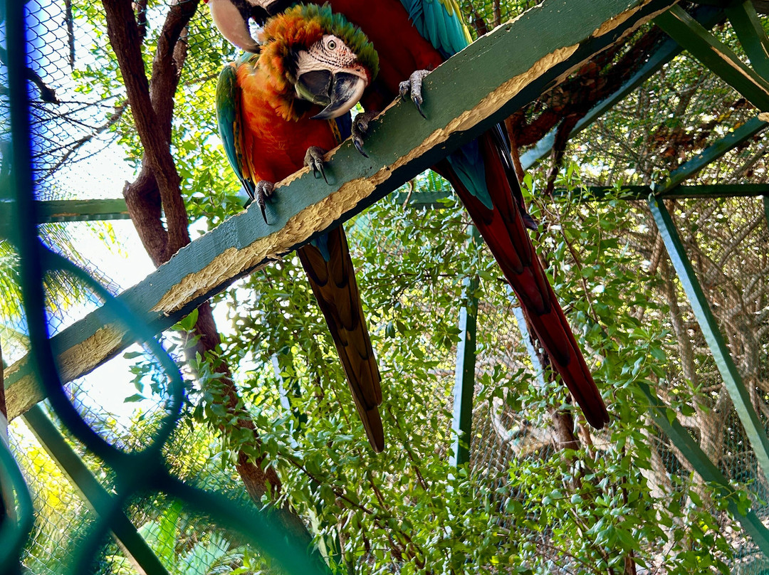 Sea It Clear Tours-North Sound必去景点