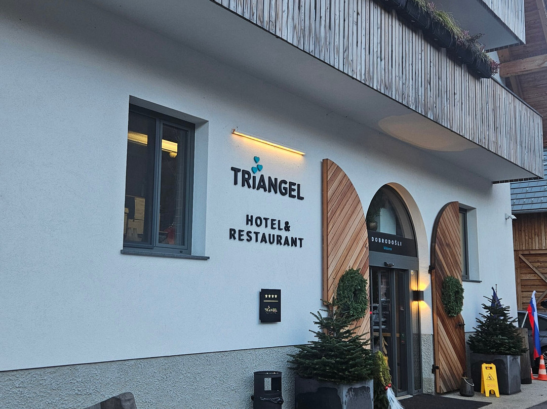 Triangel Boutique Hotel主图