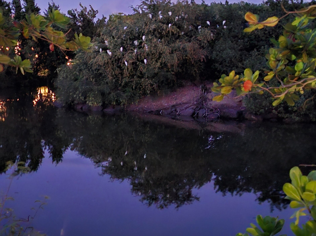 Royalton Lake-Port Salines必去景点