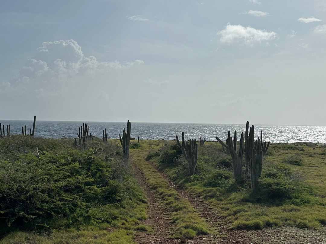 Banda Abou Tours-Barber必去景点