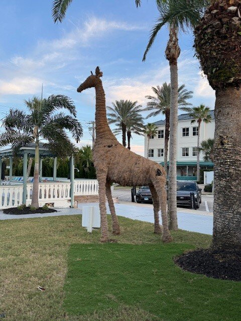 The Islander Inn主图